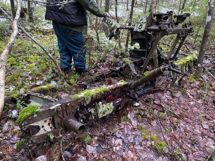 В Карелии в лесу поисковики нашли части боевого самолета времен ВОВ