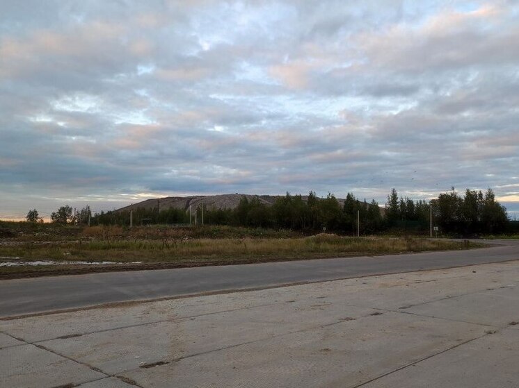 Во Всеволожском районе пресекли организацию незаконной свалки и изъяли бульдозер