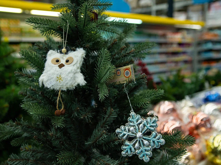 Как обеспечить безопасность новогодней елки и кошки, разъяснили карельские специалисты