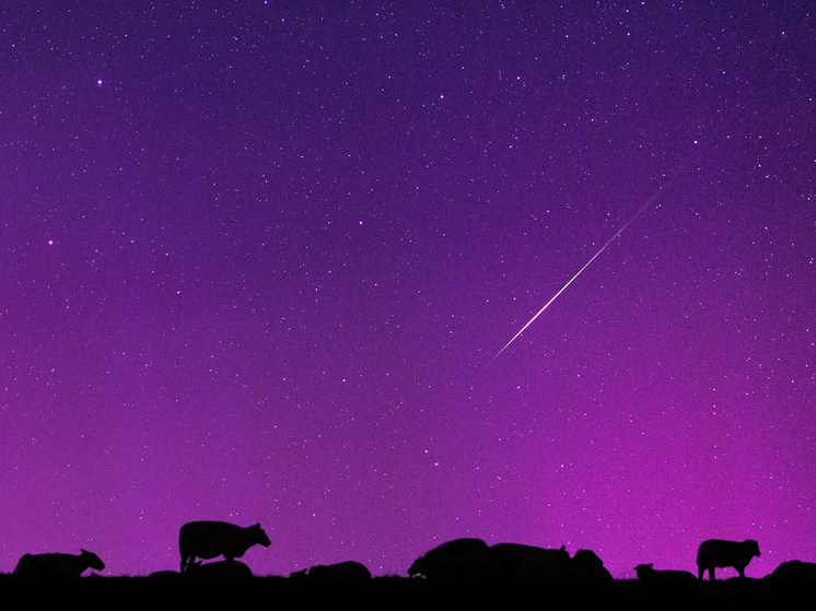 На небе 13 декабря  в час можно будет увидеть от 10 до 100 метеоров