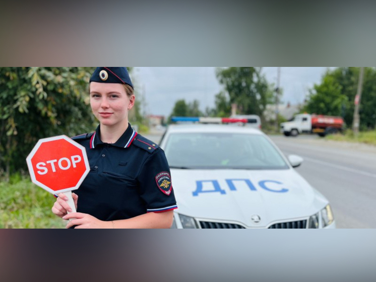 В Калевале нетрезвый водитель лишился микроавтобуса, водительского удостоверения и свободы