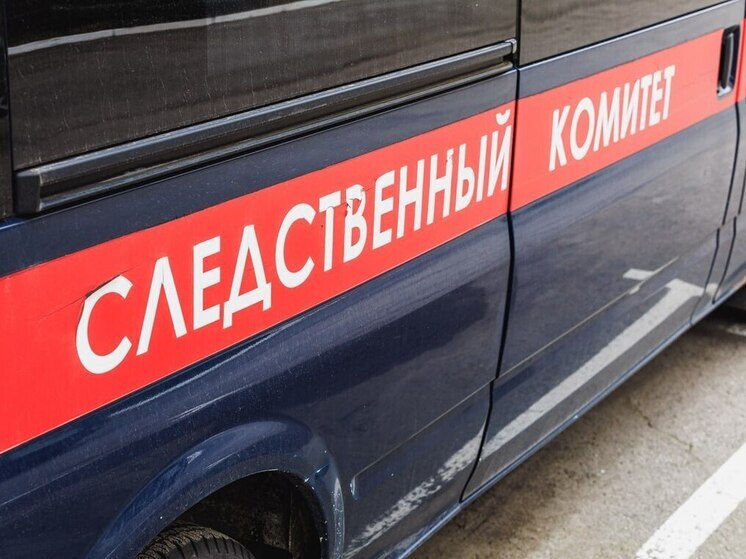 Бастрыкин запросил доклад по делу детского стоматолога в Челябинске