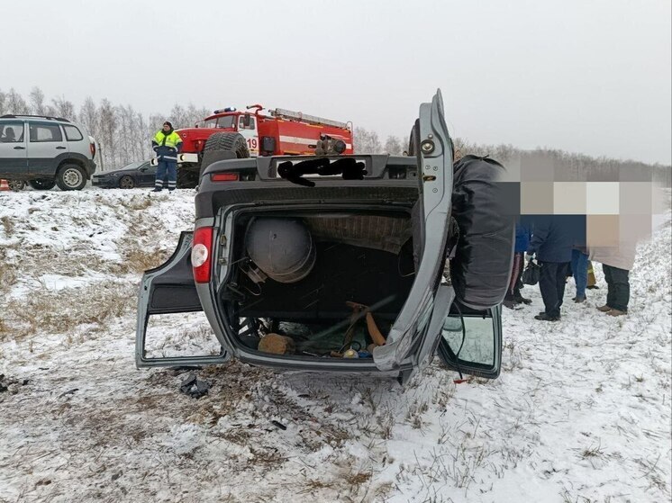 В Самарской области автомобиль Lada Niva вылетел в кювет на заснеженной трассе