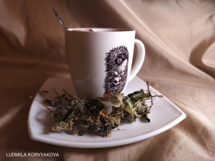 Руководитель Министерства здравоохранения Карелии поделился рецептом для борьбы с вирусами