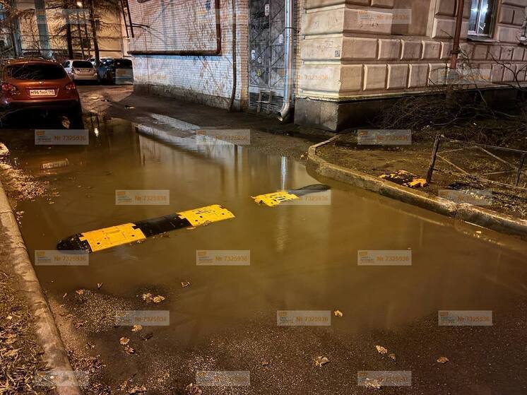 Лежачий полицейский утонул в луже на Кронштадтской улице