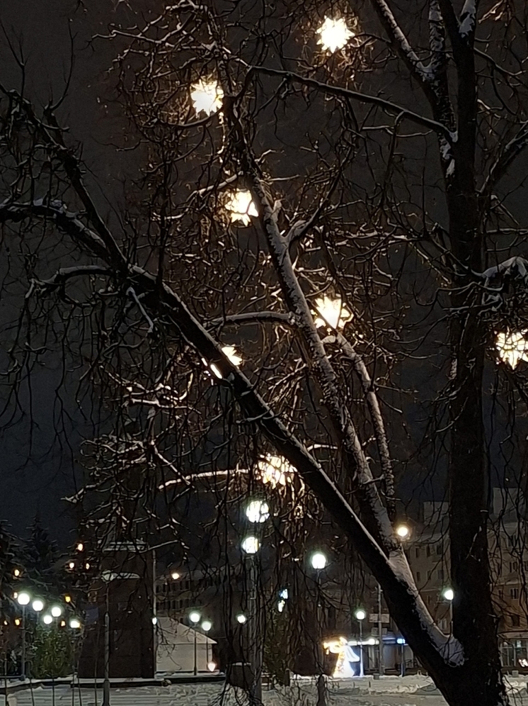 Прогноз погоды на 14 декабря в Псковской области: облачно, местами гололедица