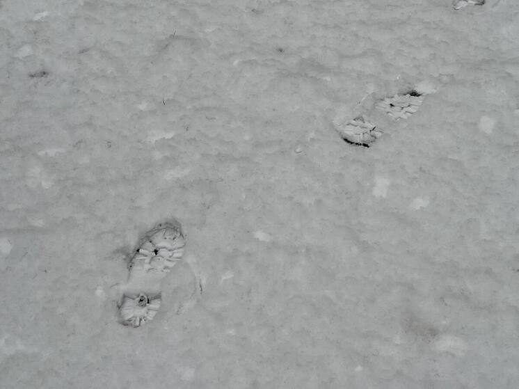 В Петербурге похитили двух человек и забрали у них 2,2 млн