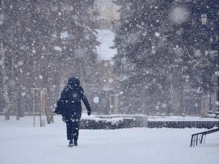 Сочинцы готовятся к сильному ветру и заморозкам