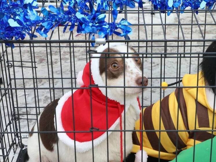 В Уфе провели 11-ю акцию «Ищу человека»