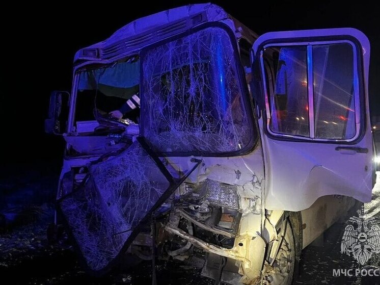 Водитель автобуса разбился при столкновении с грузовиком в Палехском районе
