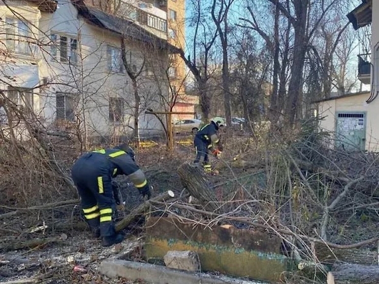 Ураганный ветер повалил девять аварийных деревьев в Ростове
