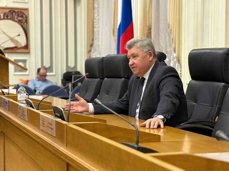 Алексей Анохин провел открытый урок парламентаризма