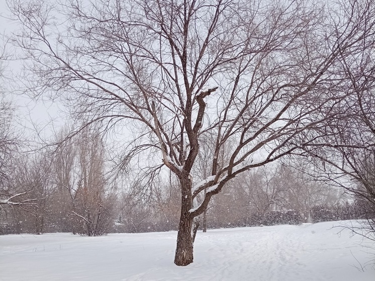 Посёлки Заводского района Саратова остались без электричества