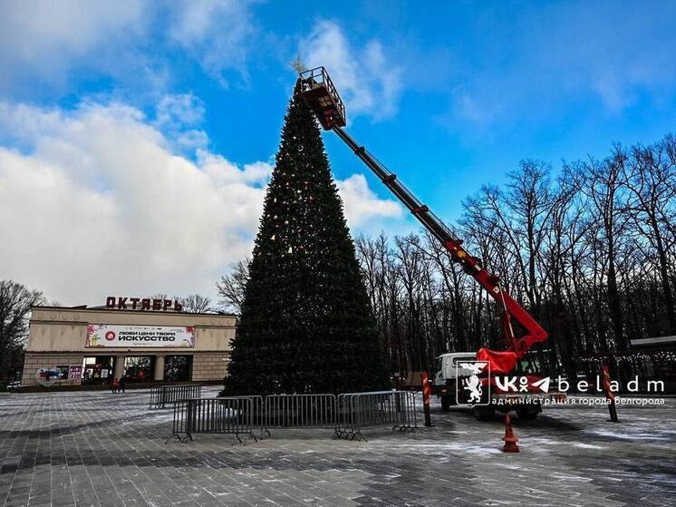 Новогодняя красавица: у КЦ «Октябрь» Белгорода наряжают еще одну праздничную ель