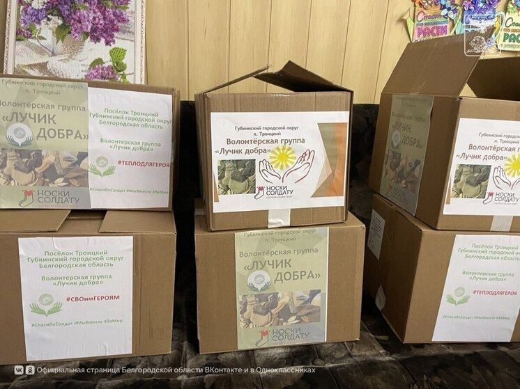 Около 6 тысяч белгородцев приняли участие в акции «Тепло для героя»