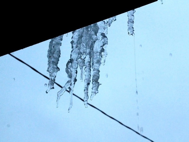 Тулякам дали советы что делать, если на автомобиль упала сосулька