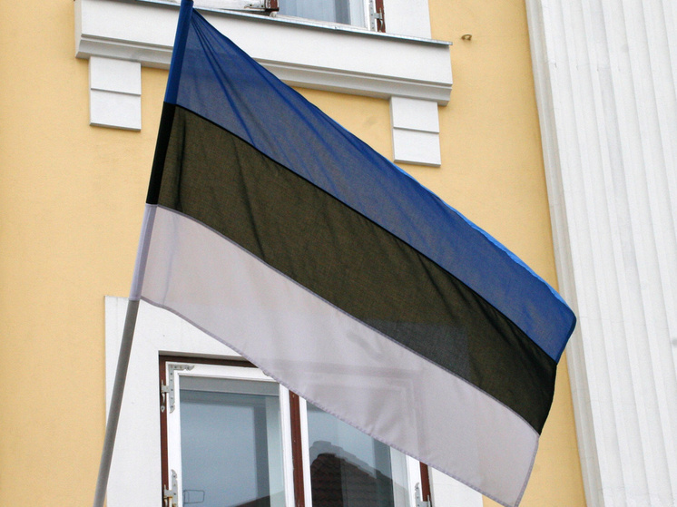 Политик не согласен с курсом партии на вытеснение русского языка в Эстонии