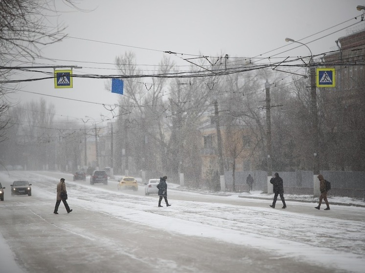 В Волгограде штормовой ветер сносит деревья и дорожные знаки