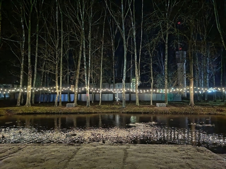 Школьный пруд в Холме украсили электрической гирляндой