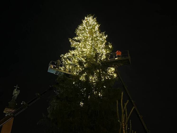 Ёлку на Дворцовой площади  «укутали» яркими гирляндами