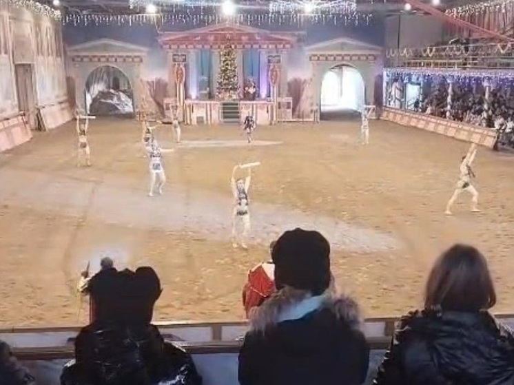 В Новороссийске дети участников СВО посетили представление с лошадьми