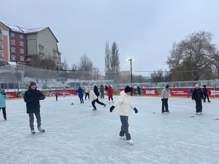 В рамках Новогодней столице в Рязани открылся каток на Лыбедском бульваре