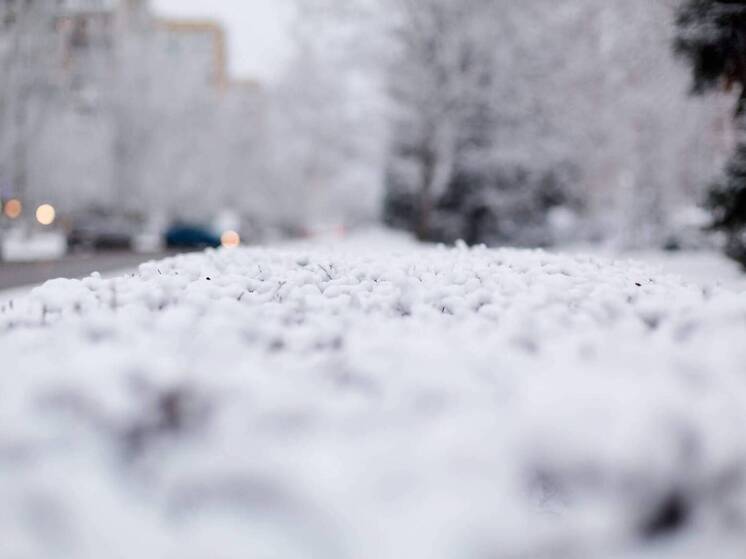 Волгоградцев предупредили о сильном ветре до 29 м/с в выходные