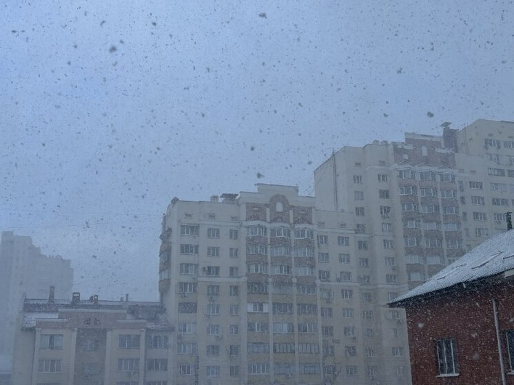 В Белгородской области пройдет небольшой снег 14 декабря