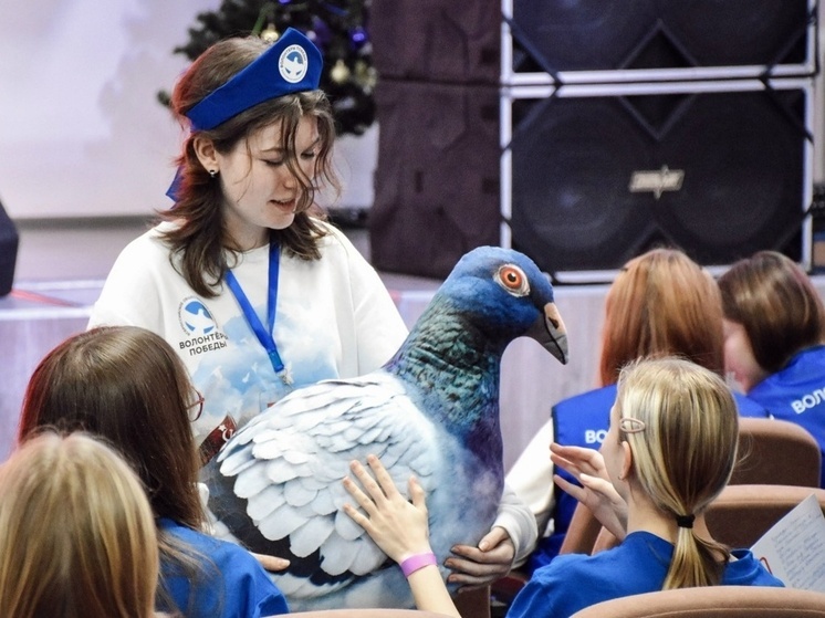 Молодежный конвент «Герои земли Новгородской» собрал почти 200 участников