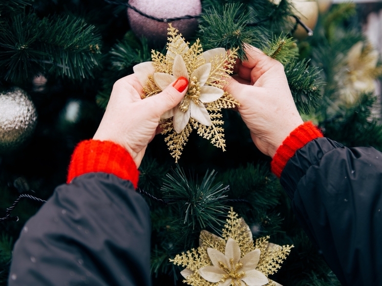 Фестиваль «Ёлки Липецкой Земли» приостановил работу из-за сильного ветра