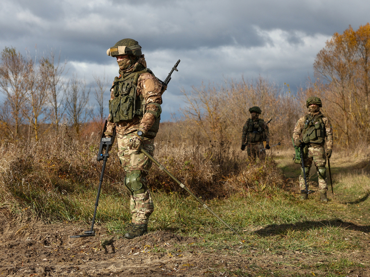 Хинштейн: корейские саперы разминировали более 42 тысяч га в Курском приграничье