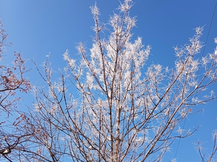 Сила магнитной бури 14 декабря составит 2 балла: идеальная пора для любых начинаний