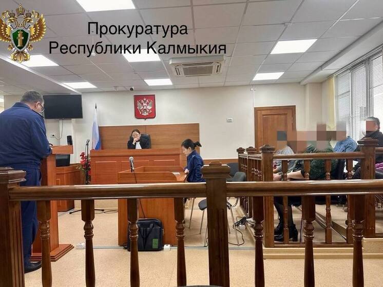 Жительница поселка Аршан в Калмыкии признана виновной в убийстве