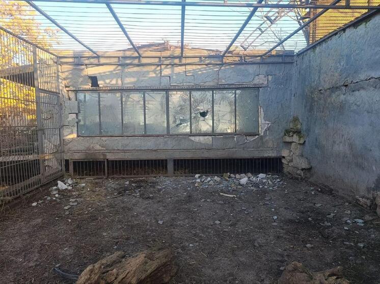 ВСУ атаковали зоопарк в запорожской Васильевке: Ранен лев