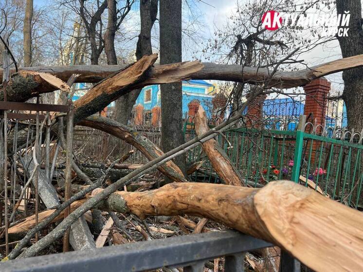 В Курске начались масштабные работы по уборке кладбища