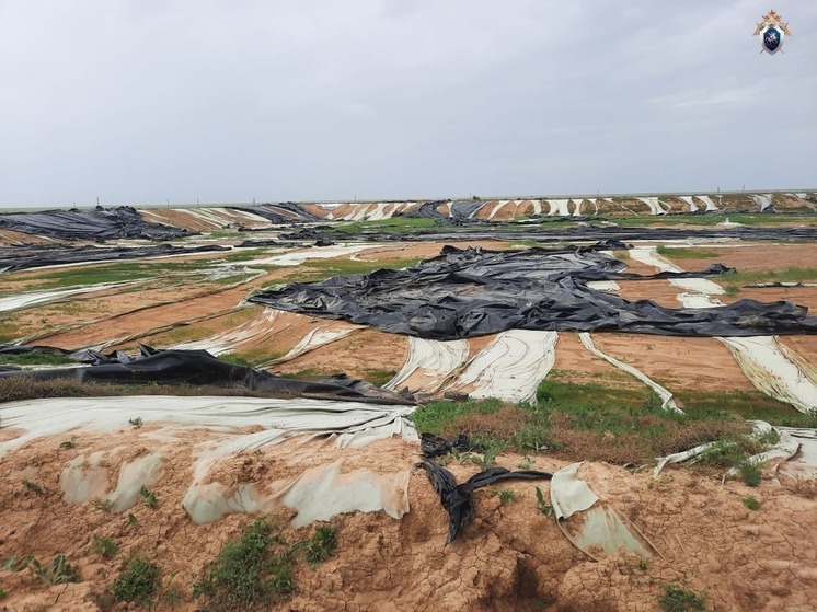 В Калмыкии двое предпринимателей предстанут перед судом за мошенничество с бюджетными средствами