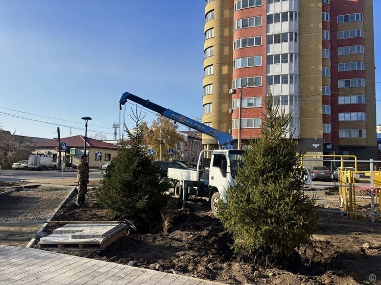 Более 130 общественных пространств и дворов благоустроили в Алтайском крае