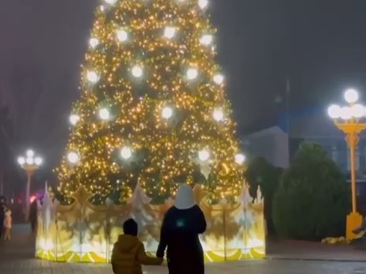 В столице Калмыкии установили главную новогоднюю елку