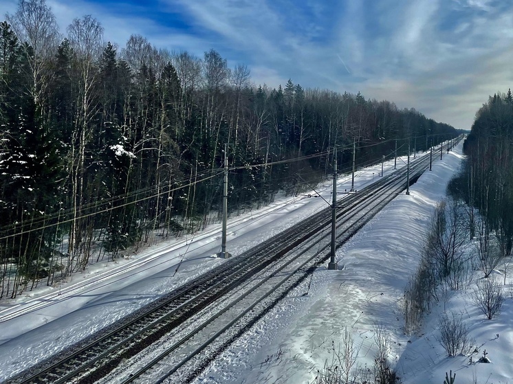 Мужчина погиб под колесами грузового поезда в Аскизском районе Хакасии