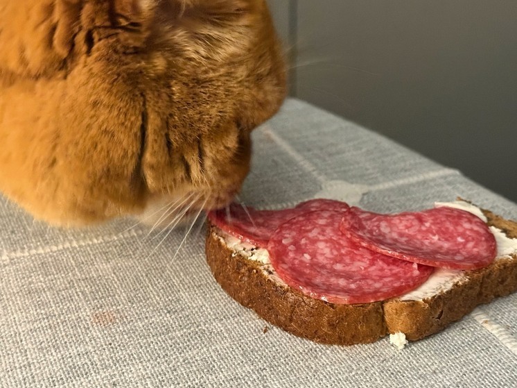 В Петербурге задержали серийного «колбасного» вора