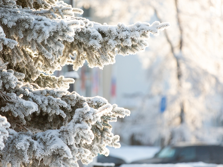 Погода в Архангельской области: заморозки и снег