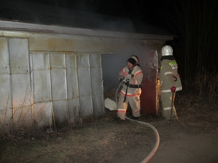 Пожар в Ольховатском районе Воронежской области ликвидирован без пострадавших