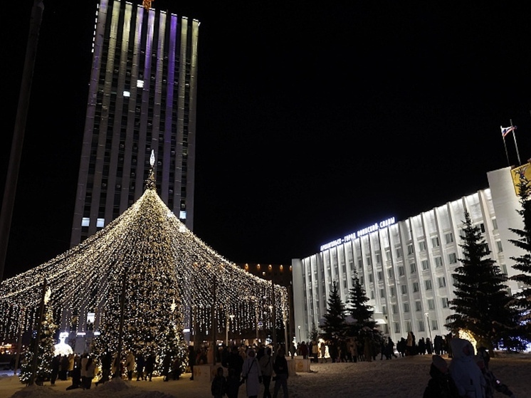 В столице Поморья зажгли главную новогоднюю елку