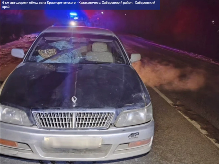 На хабаровской автодороге «Обход Краснореченского – Казакевичево» погиб пешеход