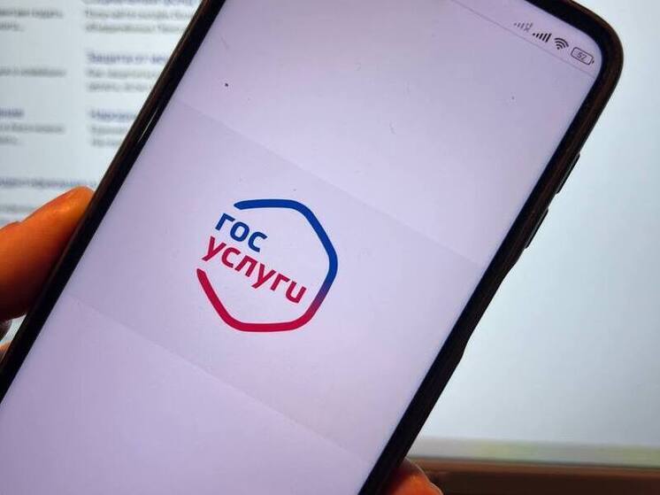 Выплата от Госуслуг: в Подмосковье рассылают мошеннические сообщения