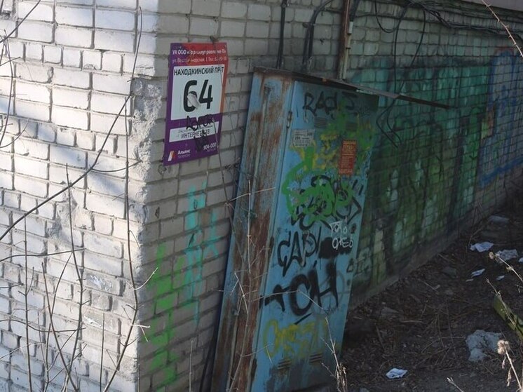 За оставление нелегальных надписей и граффити наказали около 60 собственников Находки