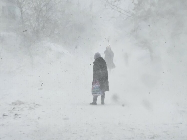 Новосибирскую область ждут резкие погодные колебания: от ночных морозов до метелей и оттепели