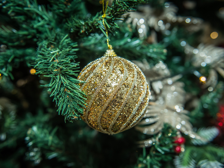 Средняя цена ёлки в Новосибирске в 2025 году составляет 4000 рублей