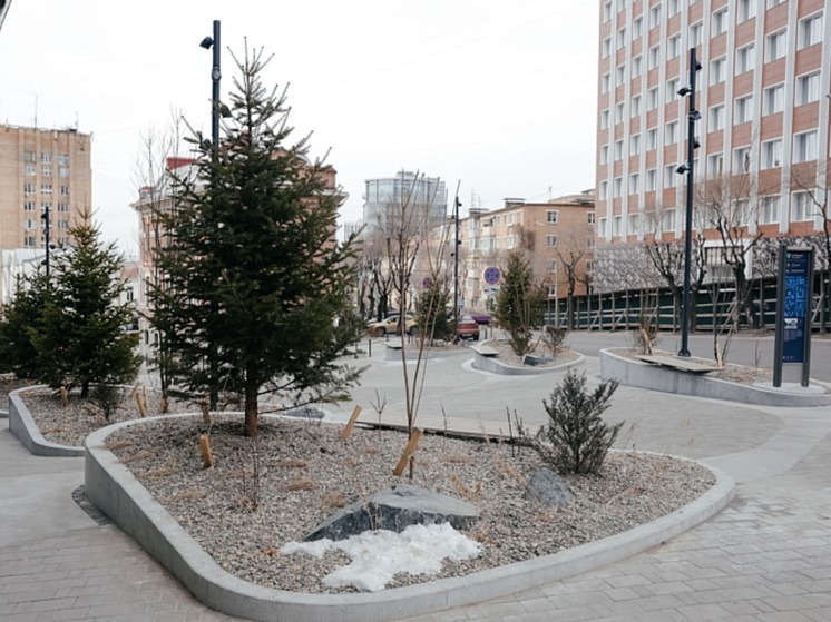 Владивостокцам представили обновленное пространство на Мордовцева