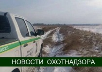 В Хабаровском крае за время рейдов, проводимых с 5 по 11 декабря, выявили 12 нарушений охотничьего законодательства – пишет пресс-служба управления охотничьего хозяйства правительства